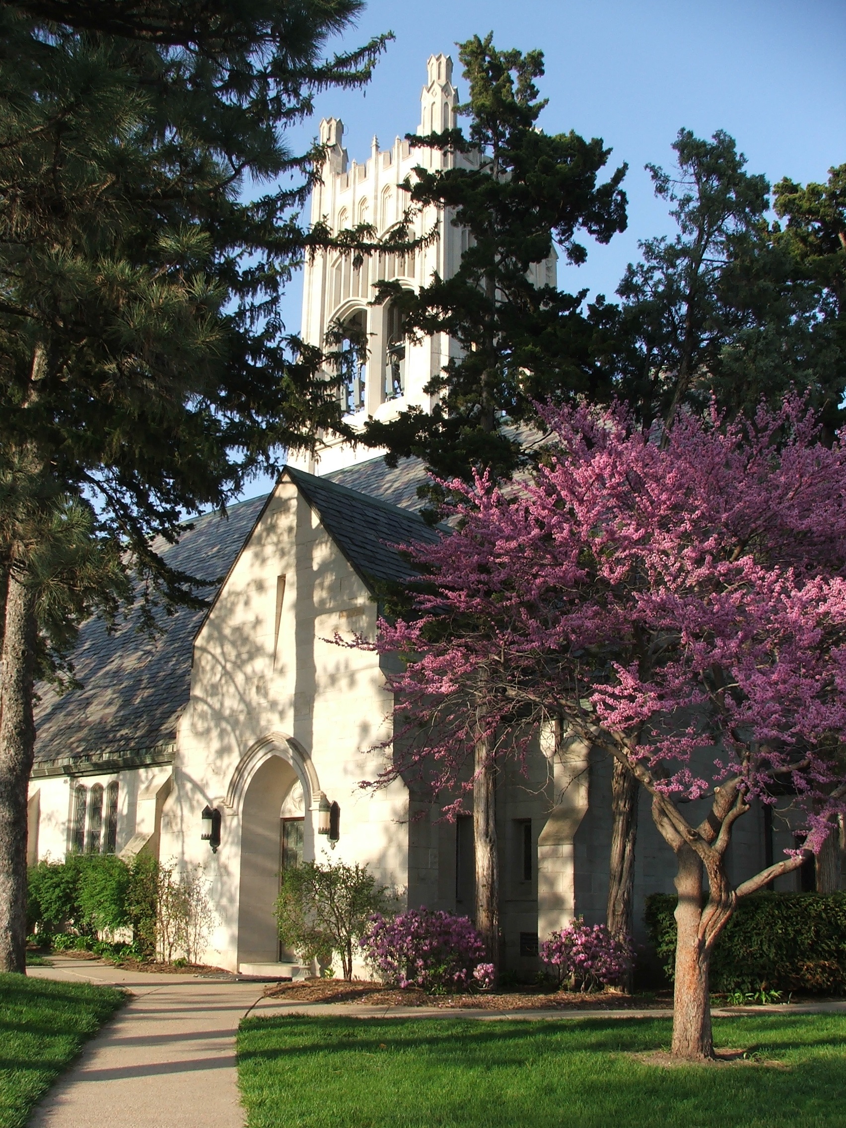 Overview